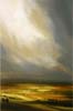 A Ray of Light